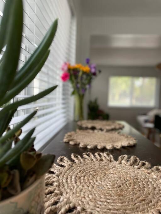 Jungle Cottage With Luxury Pool, Hot Tub And More! Lake Worth Beach Exteriér fotografie